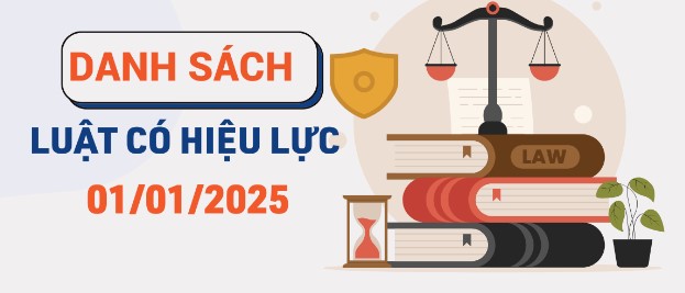 8 Luật mới quan trọng có hiệu lực từ 1/1/2025